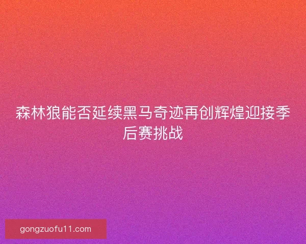 森林狼能否延续黑马奇迹再创辉煌迎接季后赛挑战