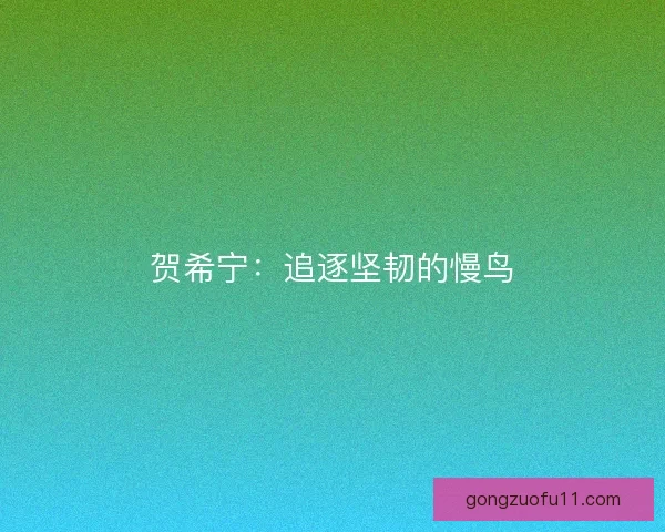 贺希宁：追逐坚韧的慢鸟